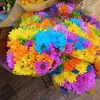 Stephanie Hatfield - @stephanie.hatfiel35 - TikTok