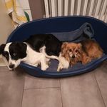 Stéphanie Gsell Herold - @stephaniegsellherold - Instagram