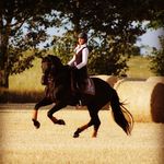 Stephanie Herold - @team_birkenhof_eifel - Instagram
