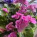 Stephanie Holtz - Facebook