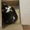 Stephanie  Huff - @stephanie.huff77 - TikTok