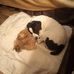 Stephanie Huff - Facebook