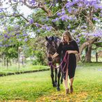 Stephanie Hulett - @stephaniehulett_copywriter - Instagram