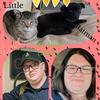 Stephanie Hulse - @stephh1493 - TikTok
