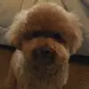 Stephanie - @stephaniehung86 - TikTok