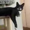 Stephanie Hurd - @steph.hurd - TikTok