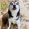 Stephanie Hurst - @stephanie.hurst52 - TikTok
