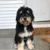 stephaniehorwitz_ - @stephaniehorwitz_ - TikTok