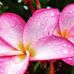 Stephanie Husted - Facebook