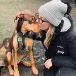 Stephanie Hutton - @stephspawfectsitting - Instagram