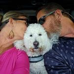 Stephanie Hyman Holden - @dnsholden - Instagram