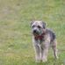 Stephanie Hyson - Facebook
