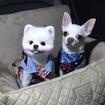HyunHee Kim - @stephaniehyunhee - Instagram