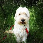 Stéphanie Ide - @nala_and_familly - Instagram