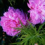 Stephanie Ike - @stephanieike5 - Instagram