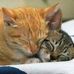 Stephanie Imfeld - Facebook