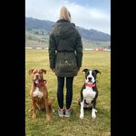 Stephanie Ingold - @steeli_arenix - Instagram