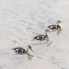 Stephanie Ingram - @stegram03 - TikTok