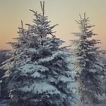 Stephanie Inskeep - @stephieinskeep - Instagram