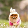 Stephanie IP - @steppy.cute - TikTok