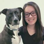 Stephanie Ip | Force Free NYC Dog Trainer - @dog.trainer.stephanie - Instagram