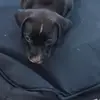 stephaniejamerson19 - @zach.q0 - TikTok