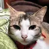 ms_stephaniejane - @ms_stephaniejane - TikTok