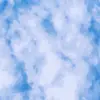 stephaniemjauregui - @stephaniemjauregui11 - TikTok