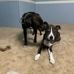 Stephanie Keating - @skatemom704 - Instagram
