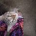 Stephanie Keefer - Facebook