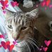 Stephanie Keefer - Facebook