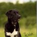 Stephanie Keil - Facebook