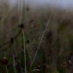 Stephanie Keil - @_trailandier_photography_ - Instagram