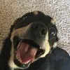 stephanie.keil.2406 - @clearlightning - TikTok