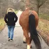 Stephaniekeil - @stephaniekeil178 - TikTok