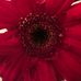 Stephanie Keithley - Facebook
