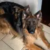 Stephanie Kerman461 - @stephaniekerman1 - TikTok