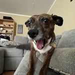 Stephanie Kerner - @kernersa - Instagram