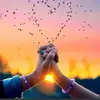 Stephanie kitchen - @stephanie.kitchen87 - TikTok