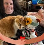 Stephanie Ann Koster - Facebook