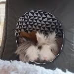 Stephanie Koster - @stephaniekoster222 - Instagram