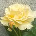 Stephanie Kott-Oosterom - Facebook