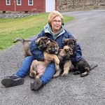 Stephanie Kulp Houck - @clipchick4t1 - Instagram