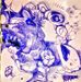 Stephanie Lanza - Facebook