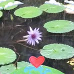 Stephanie Leask - Facebook