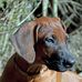 Stephanie Lehmann - Facebook