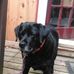 Stephanie Leis - Facebook