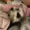 stephanielewin685 - @stephanielewin685 - TikTok