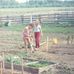 Step Lightly Farms - Facebook