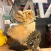 stephanieback_ - @stephanieback_ - TikTok